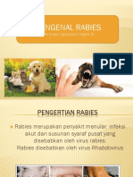 Mengenal Rabies