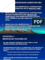 Strategi Penurunan Kematian Ibu