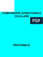 Biochimie Generala Curs DR. Vasilescu Leonard PDF