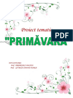0_proiect_tematic_primavara.docx