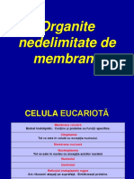 Organite Nedelimitate de Membrane