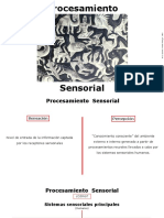 Procesamiento_Sensorial-4.pdf