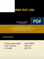 Gamma Ray Log