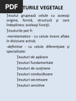 TESUTURI VEGETALE
