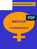 Horno_Flash_y_CT.pdf