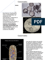 Presentacion_2_Coacervados.pps