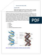 Estructura y funciones del ADN y ARN en