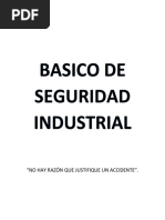 Basico de Seguridad Industrial (1)
