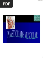 1.Plasticidade Do Tecido Muscular. Cefisa