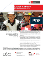 Policy Brief Pension65