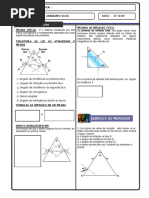 Prisma óptica _2009_.pdf