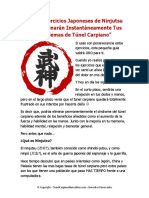 Ejercicios Japoneses.pdf