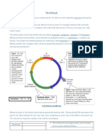 Cell Cycle