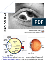 6. Fisiologi Penglihatan 2015