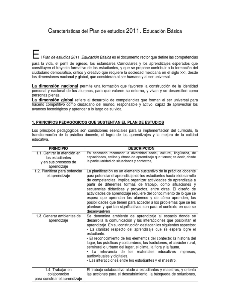 Características del Plan de Estudios 2011 | PDF | Jardín de infancia ...