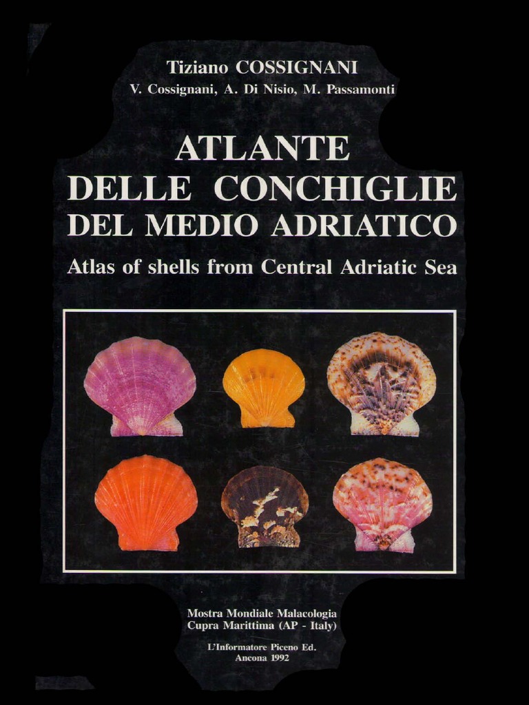 Atlas of The Mediterranean Sea Shells | PDF
