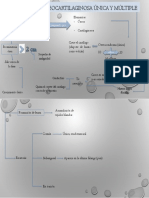 Mapa Conceptual