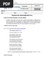 Pauta 01 - Figuras de Linguagem Em Foco