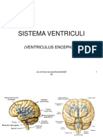 Bab Viii Sistema Ventriculi