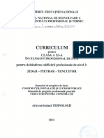 3_CRR_IP_XI_Zidar pietrar tencuitor.pdf