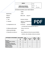 Perfil de Puesto Capacitador Ssoma