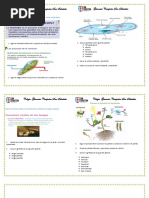 Tarea de Naturales de La 12- 16