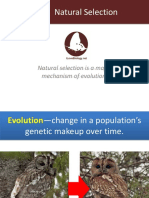 Natural Selection Is A Major Mechanism of Evolution