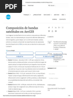 Composición de Bandas Satelitales en ArcGIS
