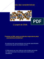 Apresentacao Dna Correccao