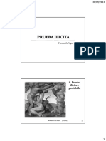 2597_prueba_ilicita_2013.pdf