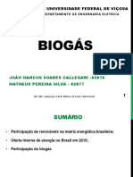 Biogás