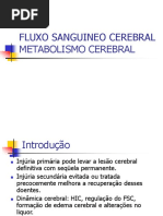 Aula Metabolismo Cerebral