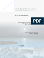 1 - Rita Alcantara Tese Dout 2006 Aspectos Institucionais Da Gestão Dos Recursos Hídricos: o Caso Do Submédio São Francisco / Rita Alcântara Domingues. - 2006