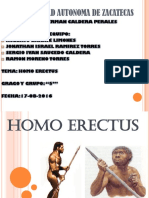 Presentacion Homoerectus