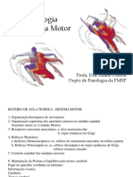 Sistema Nervoso Motor