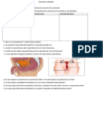 Taller de Ciencias Quiz 2 Periodo