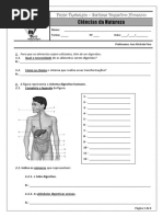fichaorientacaodeestudosistemadigestivohumano-111203113137-phpapp02.pdf