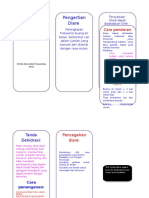 Leaflet Diare 2