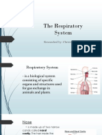 The Respiratory System: Researched By: Christian