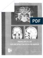 Kolb. Principios-de-Neuropsicologia-Humana.pdf