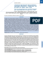 BIOETANOL - ESPARRAGO.pdf