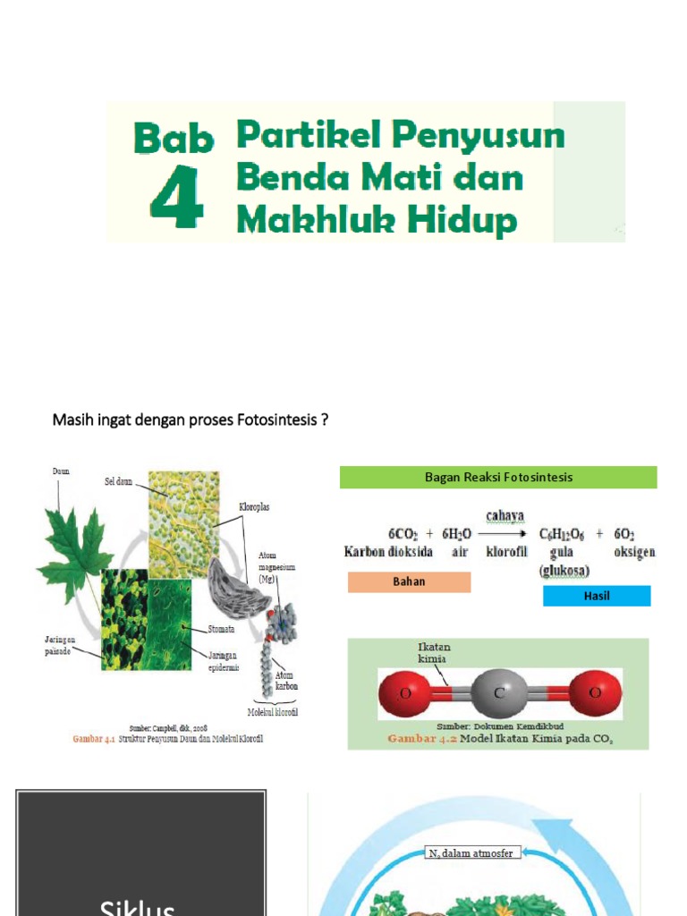 Partikel Penyusun Benda Mati Dan Mahluk Hidup