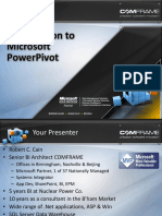 powerpivot.pdf