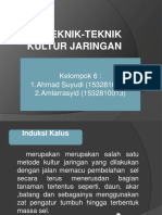 Teknik Kultur