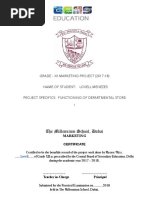 Download Departmental store Project Class 12 Marketing  783  by lovellmenezes SN373513809 doc pdf
