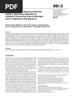 Biocombustible Algas