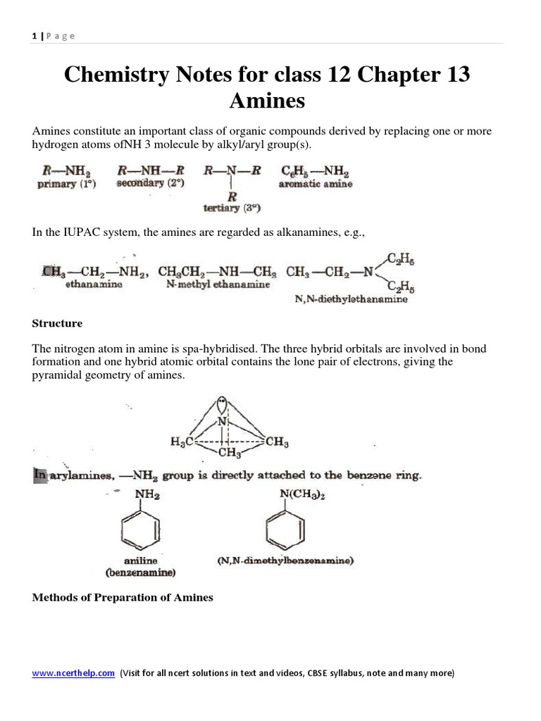 Chemistry Notes For Class 12 Chapter 13 Amines PDF | PDF | Amine ...