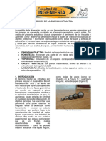 Informe 1 Dimension Fractal PDF