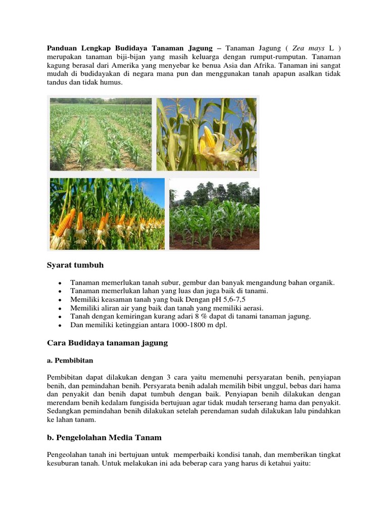 Fase  Pada Daur  Hidup  Hewan  Yang  Mengganggu  Tanaman  Jagung    Fase  Pada Daur  Hidup  Hewan  Yang  Mengganggu  Tanaman  Jagung