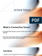 Connective Tissue.pptx1